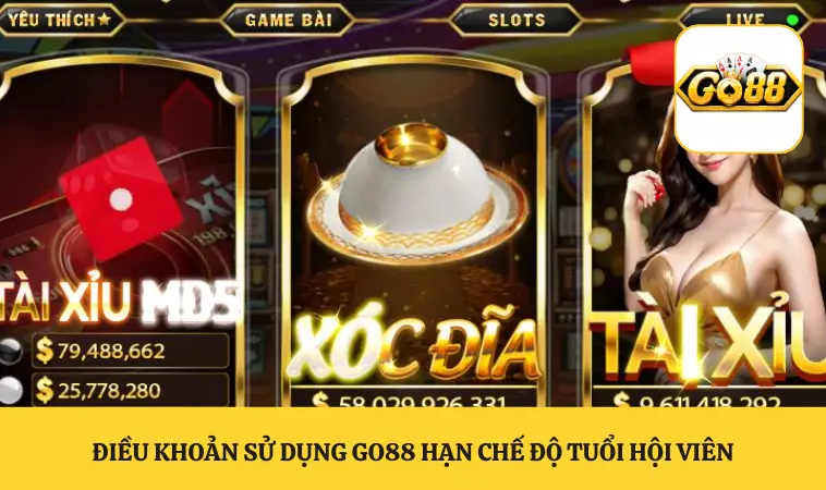 Điều khoản sử dụng GO88 hạn chế độ tuổi hội viên