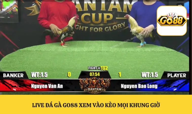 Live đá gà GO88 xem vào kèo mọi khung giờ